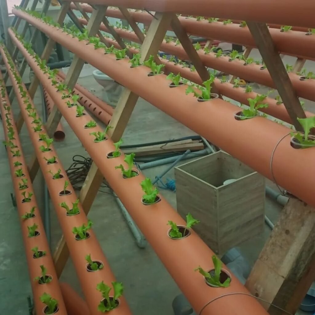 489005597_18064225516963556_2093217714699556622_n